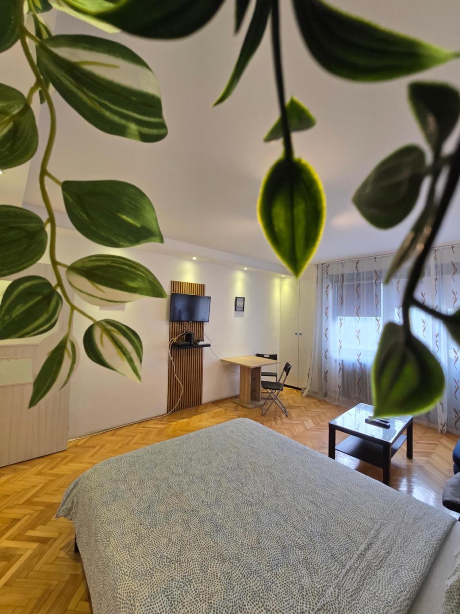 Azzurro Studio Apartment Belgrade Extérieur photo