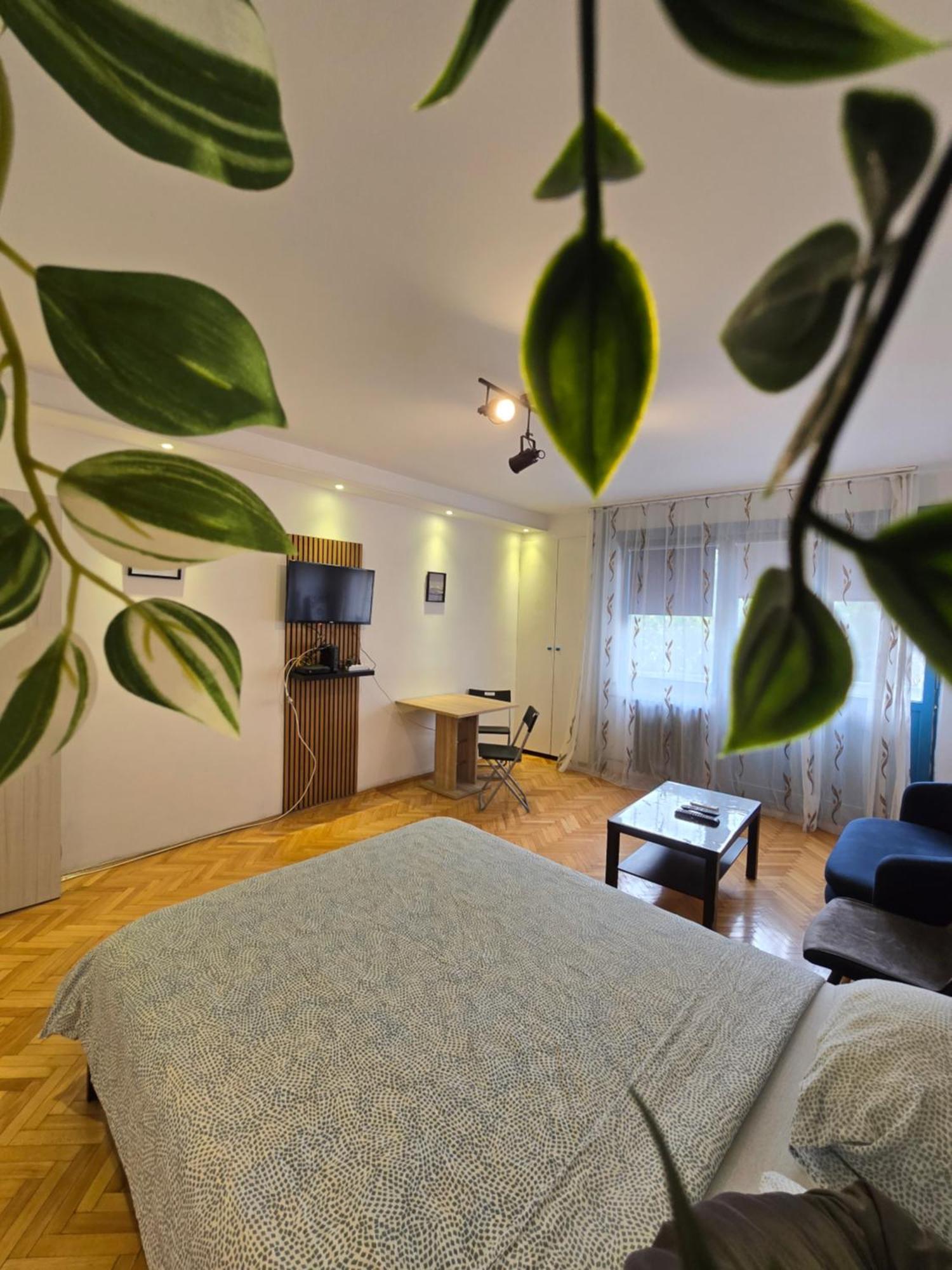 Azzurro Studio Apartment Belgrade Extérieur photo